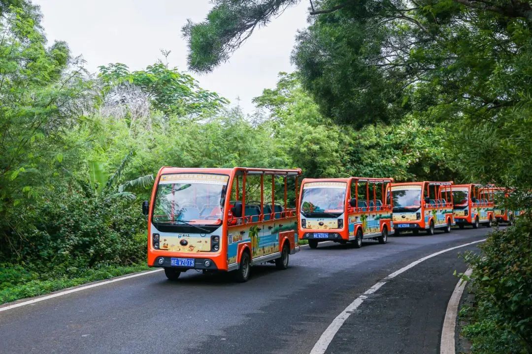 2024年“五一”假期旅游数据出炉，旅游市场呈现新趋势！