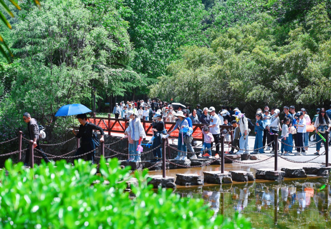 2024年“五一”假期旅游数据出炉，旅游市场呈现新趋势！