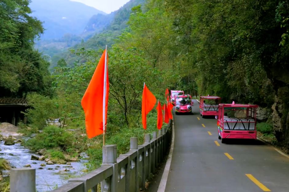 你能想象驾驶景区观光车有多“简单”？！