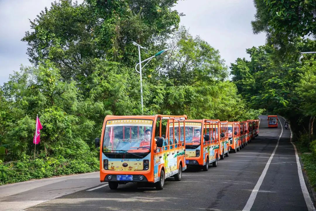 你能想象驾驶景区观光车有多“简单”？！