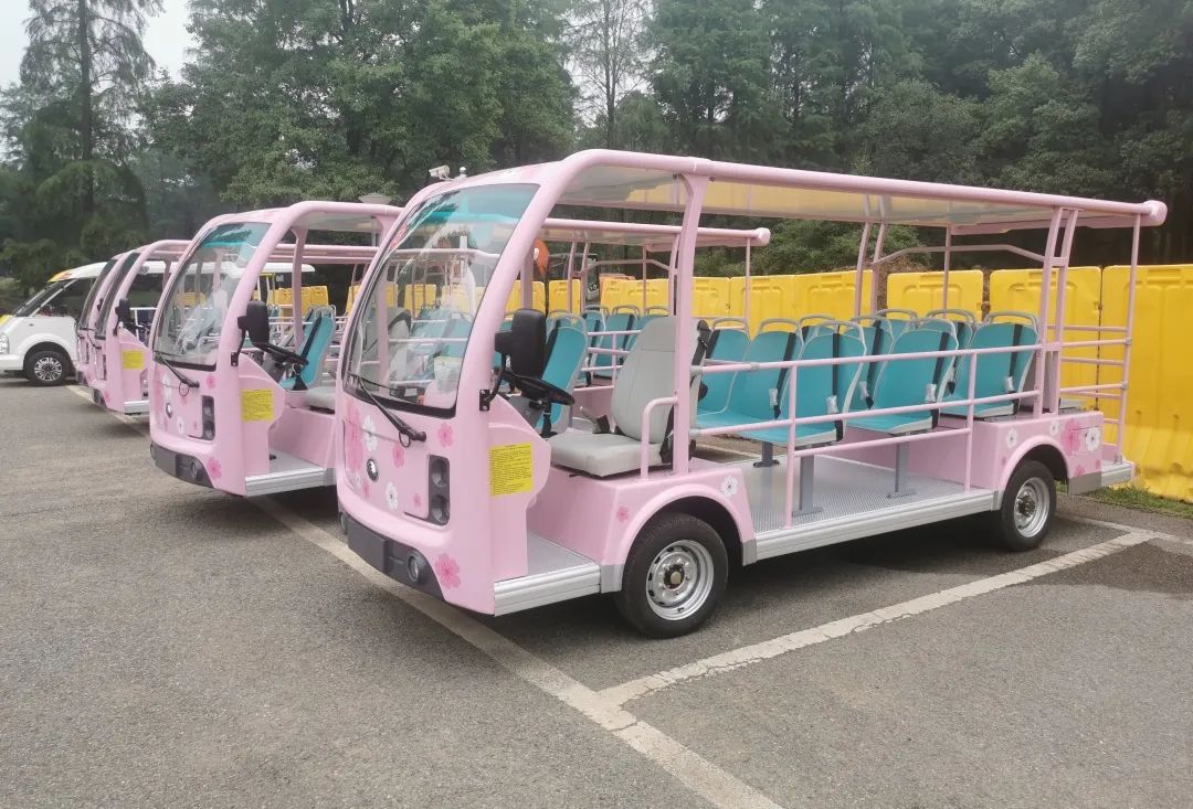 你能想象驾驶景区观光车有多“简单”？！