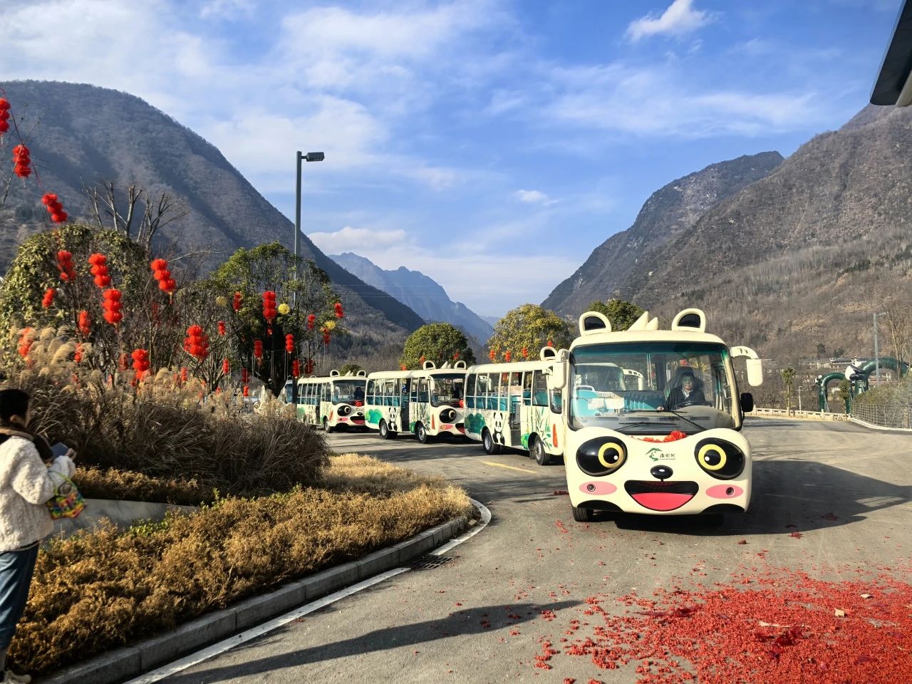 2025年景区交通该往哪儿发力？永利皇宫官网观光车助力打造景区交通运营新“范式”